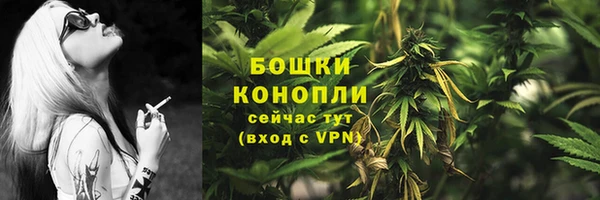 PSILOCYBIN Белокуриха